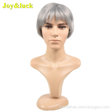 wholesale Silver Grey male Hairstyle for mens Daily party or cosplay wig man straight men wigs short Natural synthetic hair wigs